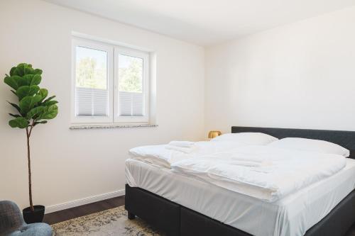 Dünenquartier Apartment 27 in Zingst, Deutschland