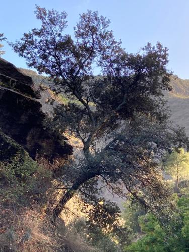  Casa Barbara in Ferreirola