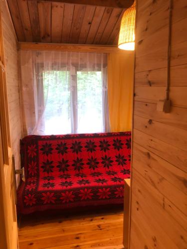 Leśnik Bungalow Stegna - image 10