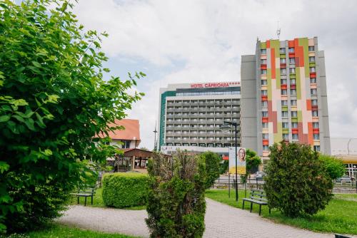 Hotel Caprioara - image 8