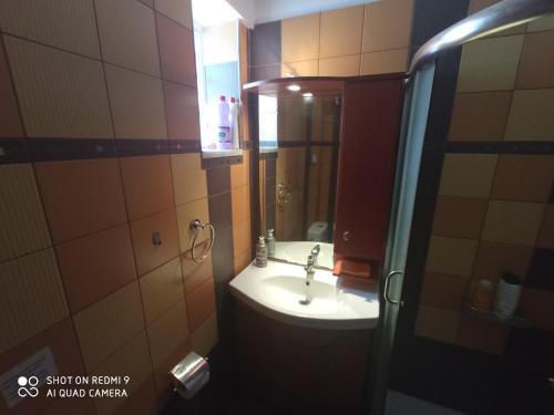 One-Bedroom Apartment image 8