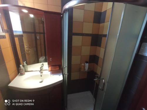 One-Bedroom Apartment image 6