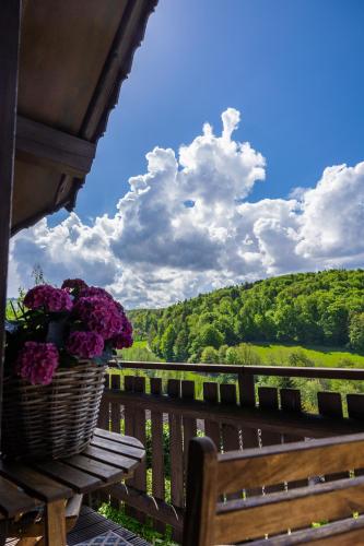 Odenwald Lounge im Naturpark Bergstraße-Odenwald in Reichelsheim (Odenwald)