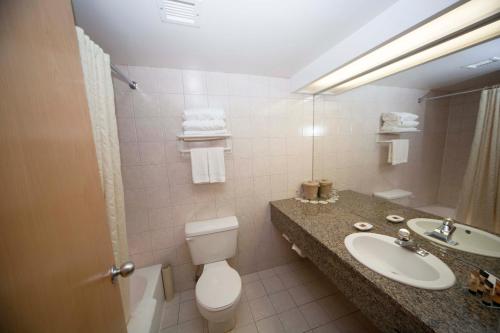 Loft King Suite