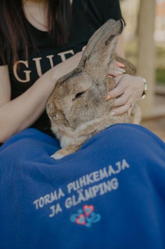 Torma Puhkemaja ja Glämping Torma Puhkemaja ja Glämping