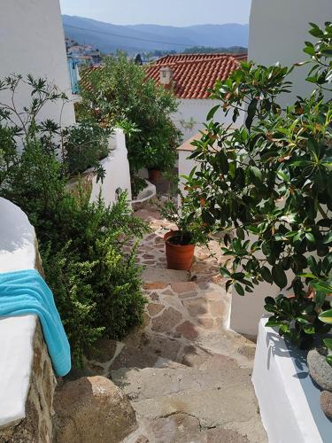Anemone Residence - image 4