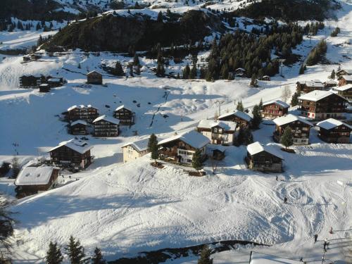 Schönegg Studio, Riederalp (foto 7)
