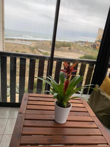 Appartement vue sur mer, 30m de la plage - Location saisonnière - Lacanau