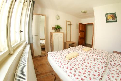 Double Room with Shower and Shared Kitchen