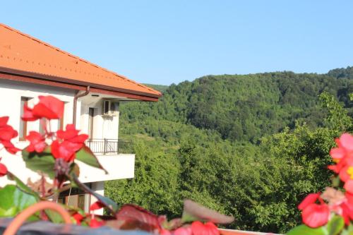 Бадевски рай- къща София, Veliko Tărnovo (fotografie 8)