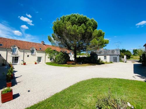 La Pillebourdiere - main image