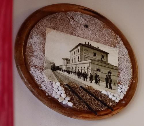 MSCamere - image 12