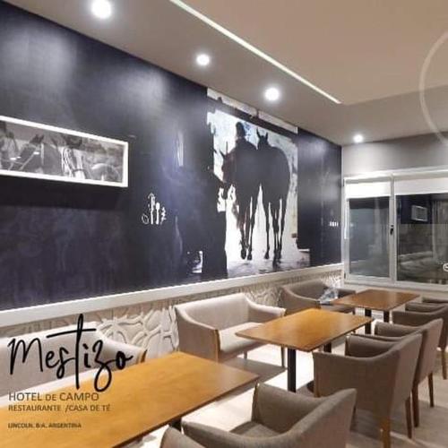 Restorāns, Mestizo Hotel in Lincoln
