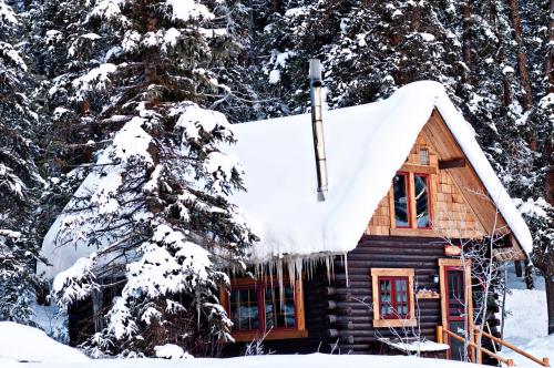 Pioneer Guest Cabins - image 13