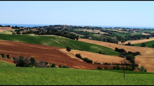 Countryside or sea in Italy within 7kms you can have both Close to Senigallia