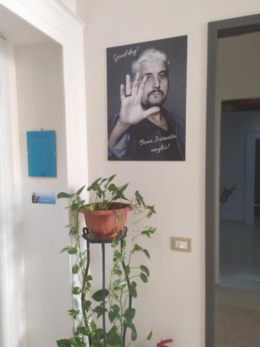 Napul'è, Neapel (Foto 6)