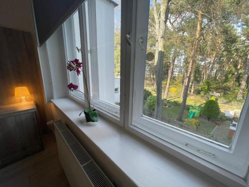 Kilátás, Pension Der Kretaner in Steglitz - Zehlendorf
