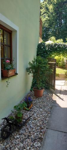 Pension U Štěpánků - image 3