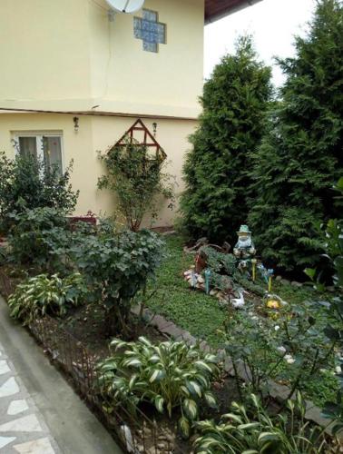 Casa Verde Sasciori Transalpina