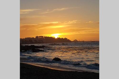 HERMOSO DEPARTAMENTO ALGARROBO NORTE
