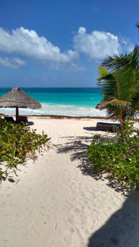 Hotel Sol Caribe