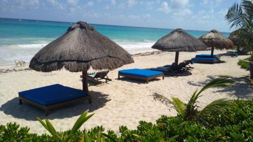 Hotel Sol Caribe