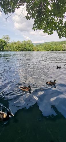 Holiday Home Racic - image 11