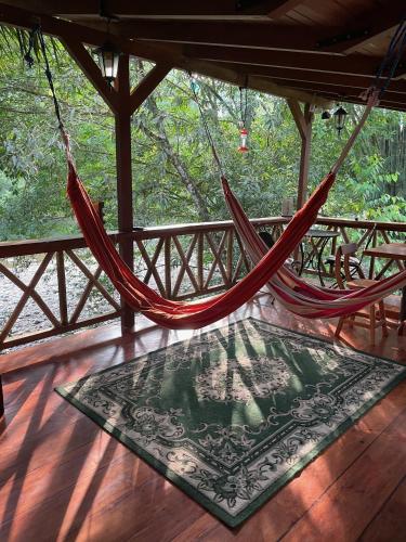 Caoni Riverside Suites - Birders Paradise by the river, Ecuadorian Chocó (Caoni Riverside Suites - Birders Paradise by the river, Ecuadorian Choco) in Mindo
