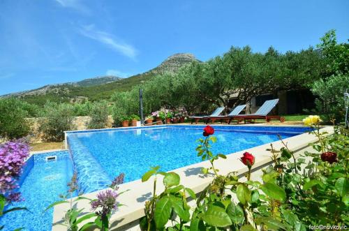 Family friendly house with a swimming pool Bol Brac - 14291