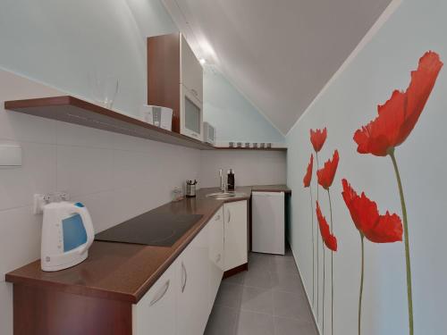 Beauty of Krakow Apartment, Cracovie (photo 9)