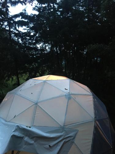MoonGreen Glamping
