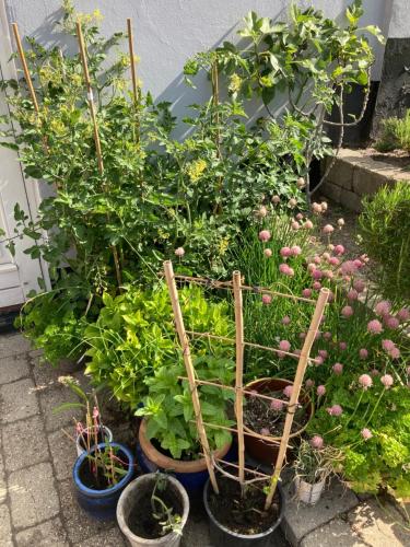  Ebeltoft Centrum in Ebeltoft