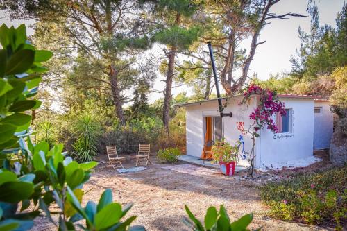  Small Forest House Nature Home in 85106 Theologos