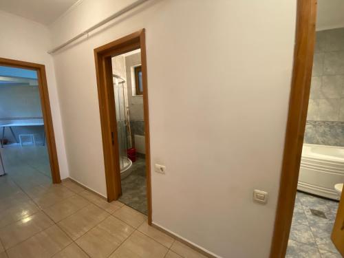 Apartament Central