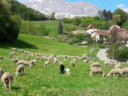 Les Clarines Perceneige - Chambre d'Hôtes Vue Sur Montagne