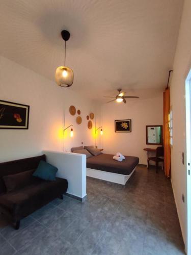 Olive Grove Soulis Family Estate in Porto Heli