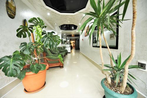 Kazbegi Hotel Batumi – Batumi, IL
