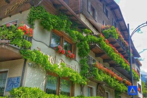 Hotel Daniela 1