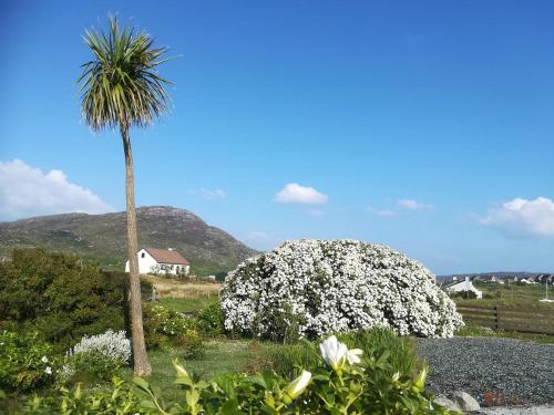 Вид, Brae Lea House, Lochboisdale, South Uist. Outer Hebrides in Локбойсдейл