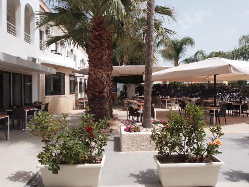 Amici Miei PLAYA GRANDE chambre d'hôte Sampieri