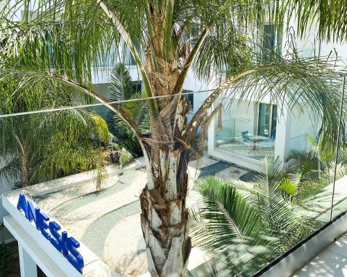 Anesis Hotel - image 2