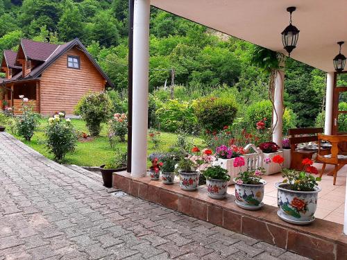Dārzs, Janjske otoke - smjestaj na selu (Milorad Piljic) in Sipovo