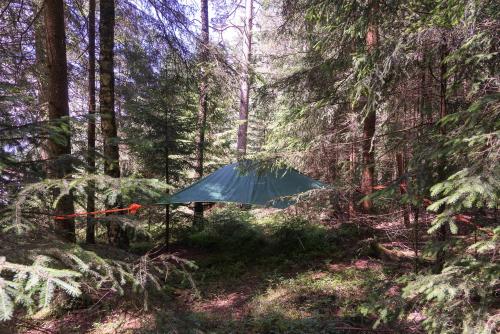 Baumzelt im Wald in Regen, Deutschland