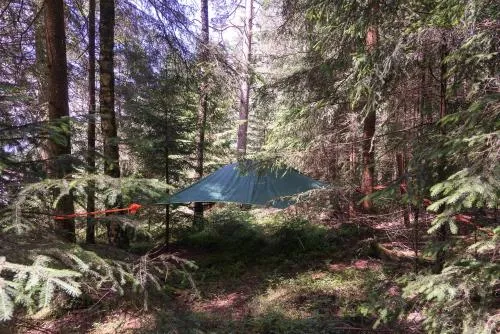 Baumzelt im Wald in Regen, Deutschland