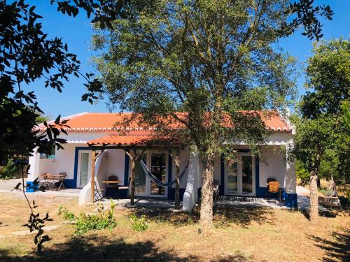 Ponte Pedra - Melides Country House Adults Only