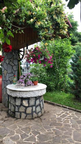 尼娜别墅酒店 尼娜别墅酒店