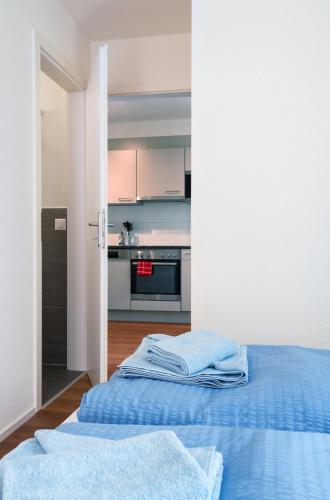 Apartment with Terrace A