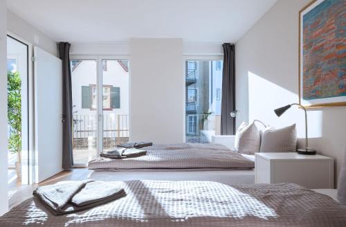 One-Bedroom Apartment with Terrace A