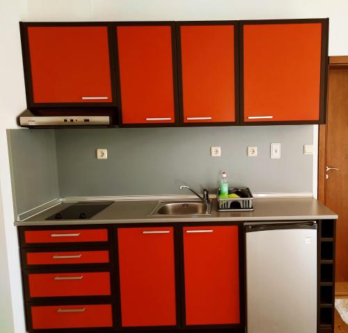 One-Bedroom Apartment image 6