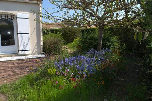 Ensemble, dans une maison avec jardin près de la mer